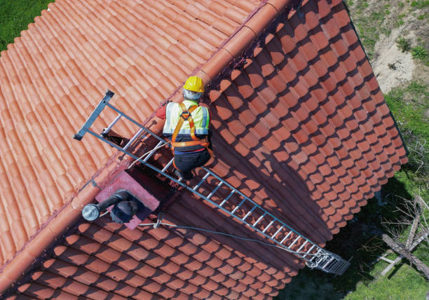 Best Roof Moss and Algae Removal  in Chisago City, MN